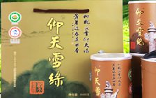 河南仰天雪绿茶叶