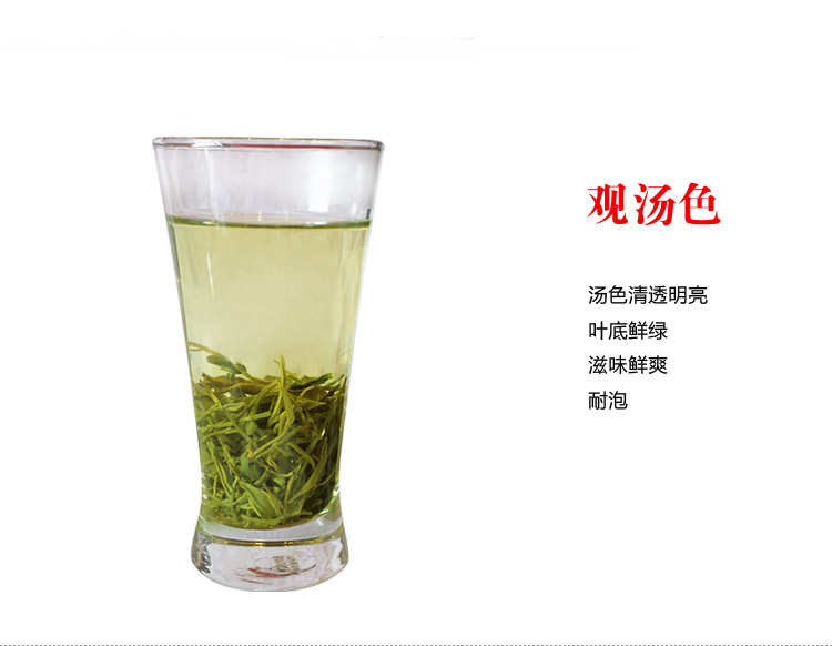 明前一级毛尖茶叶汤色