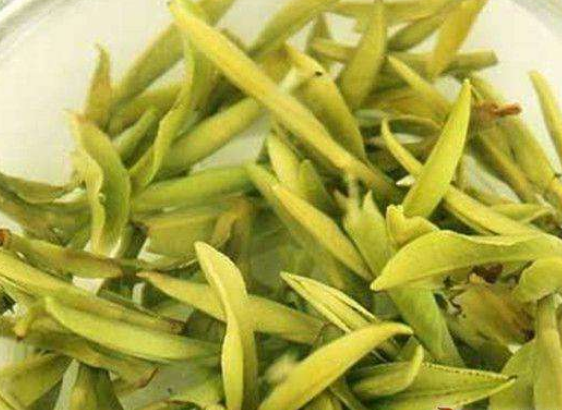  莫干黄芽茶多少钱一斤 2020莫干黄芽茶的价格及冲泡方法