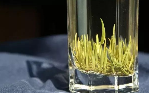  霍山黄芽的保存方法与注意事项 霍山黄芽可以放在冰箱中存储吗
