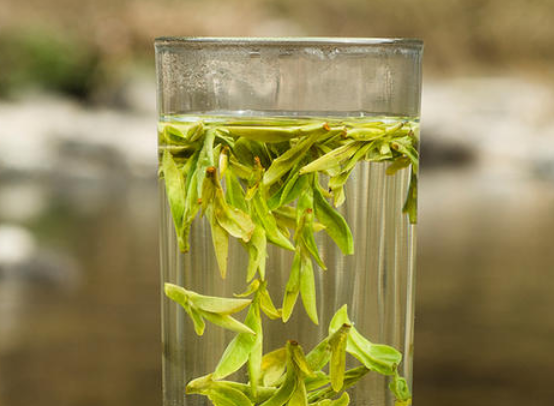  太平猴魁茶的功效 喝太平猴魁茶能抑制细菌和抑制癌细胞吗