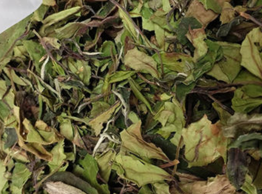  白牡丹的价格2020多少钱一斤 白牡丹茶的等级特征