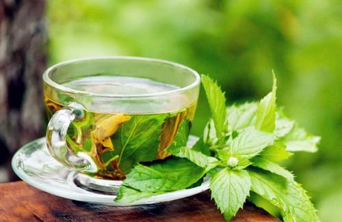  薄荷茶可以减肥吗 薄荷茶有减肥的功效与作用吗