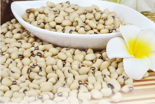  白豆的功效与作用禁忌分别是什么 白豆的好处和益处介绍