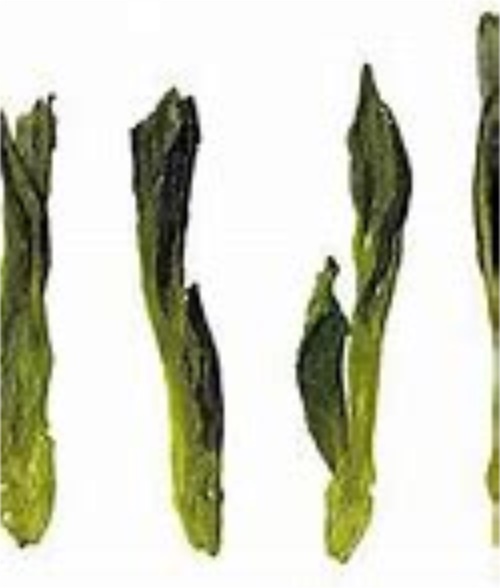 西湖龙井冲泡流程