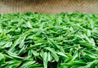  西湖龙井的储存温度 西湖龙井茶储存