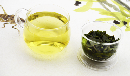 安溪铁观音茶的保存