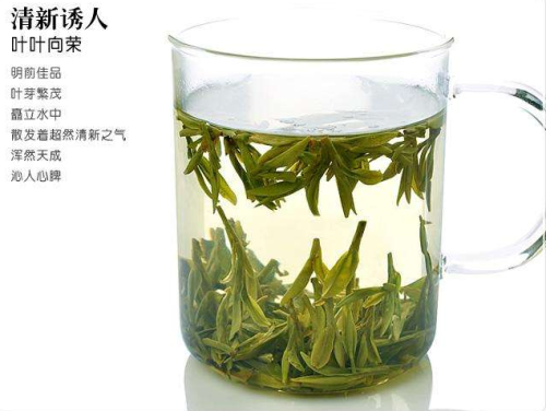 西湖龙井保存期