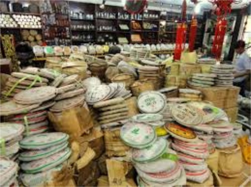 不同普洱茶的冲泡