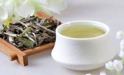  白茶的主要功效 白茶有哪些主要的功效与作用呢
