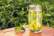  龙井茶功效和作用 龙井茶的禁忌 龙井茶的制作