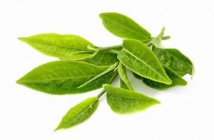  长期喝绿茶的好处与坏处 常喝绿茶有防癌抗癌的作用吗