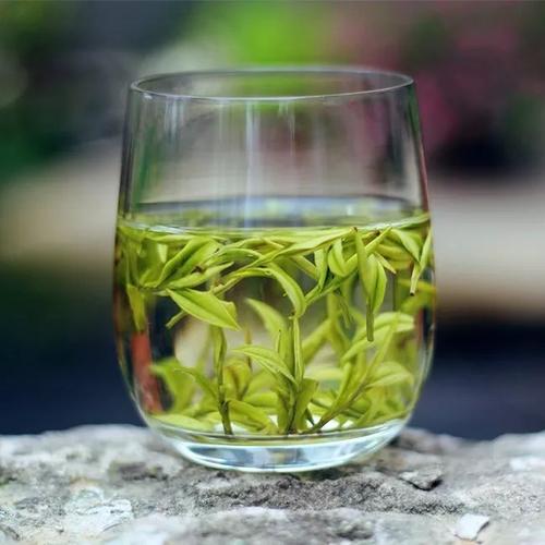  白茶的功效与作用及禁忌都有哪些 白茶的好处和饮用禁忌