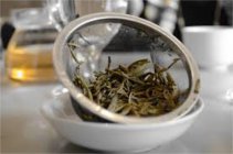  白茶的特点和功效分别有哪些 白茶的特点和功效及禁忌介绍