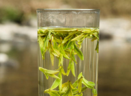 喝绿茶有降血糖的作用吗 最适合喝绿茶的季节是什么时候