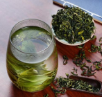  雀舌绿茶的功效与作用 雀舌茶的营养元素