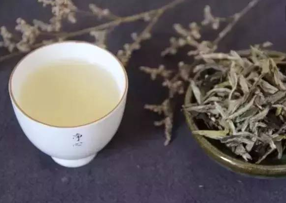  普洱茶的饮用价值 一年四季喝普洱茶有什么好处