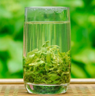  崂山绿茶的功效与作用 消化不良的人可以喝吗