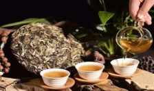  古树茶有什么功效与作用能减肥吗 古树茶的特点