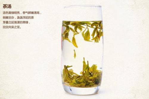 西湖龙井的花茶功效与作用