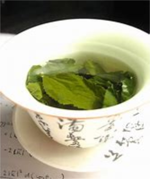 西湖龙井绿茶的功效与作用
