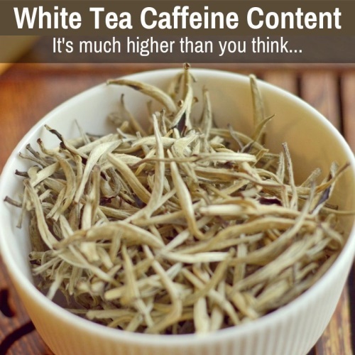  白茶茶的功效与作用怎么样？白茶的简介及功效