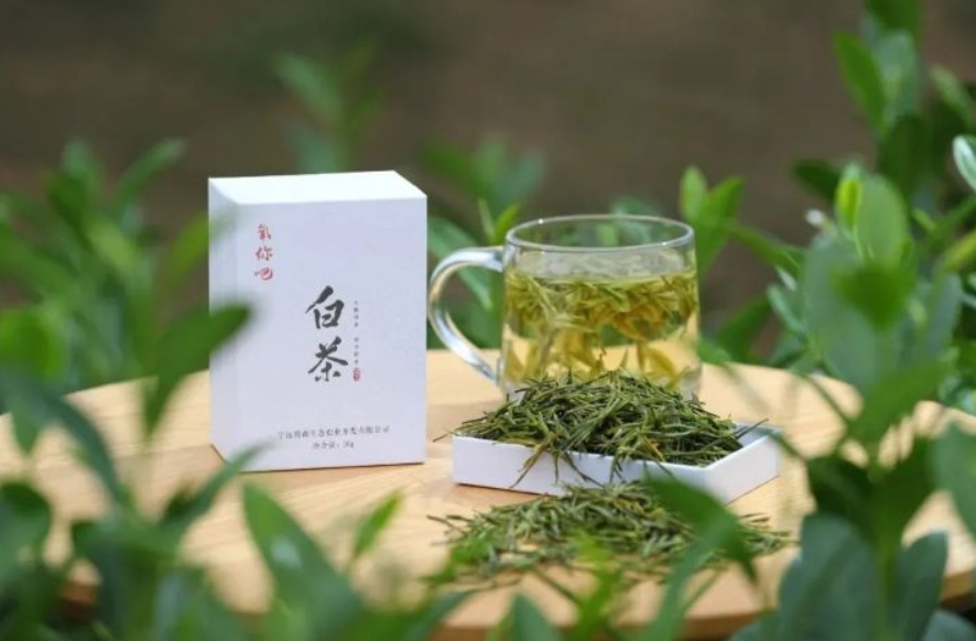  湖南白茶的功效与作用有哪些 湖南安化白茶的好处和益处介绍