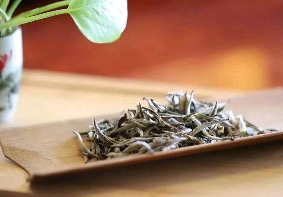 福鼎白茶产地哪最好 福鼎白茶的最佳产地是在哪里