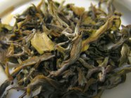  白茶产地在哪个省最好 哪个省产的白茶质量最好