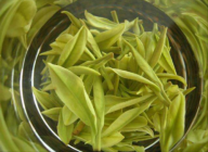 <b> 安吉白茶是什么地方生产的 详细介绍安吉白茶的产地及起源</b>