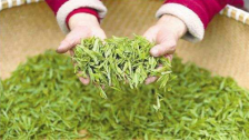  龙井茶属于什么茶 中国十大名茶之一的龙井茶是什么茶
