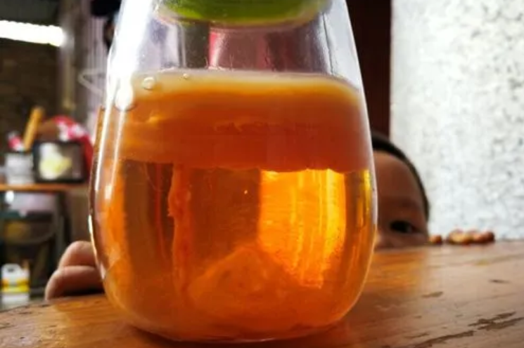  红茶菌的功效与作用禁忌是什么 这四种人不能和红茶菌