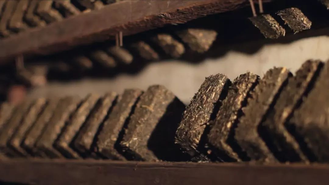  泾阳茯砖茶黑茶哪些人不能饮用 泾阳茯茶的饮用禁忌