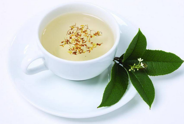  桂花茶的功效与作用及禁忌是什么 饮用前一定要了解一下