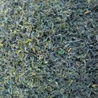 红茶绿茶的功效和作用 还有红茶绿茶的好处