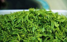 饮用绿茶有禁忌 以下10种人一定不能喝绿茶