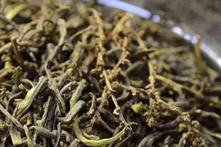  珠兰花茶的功效 珠兰花茶多少钱一斤