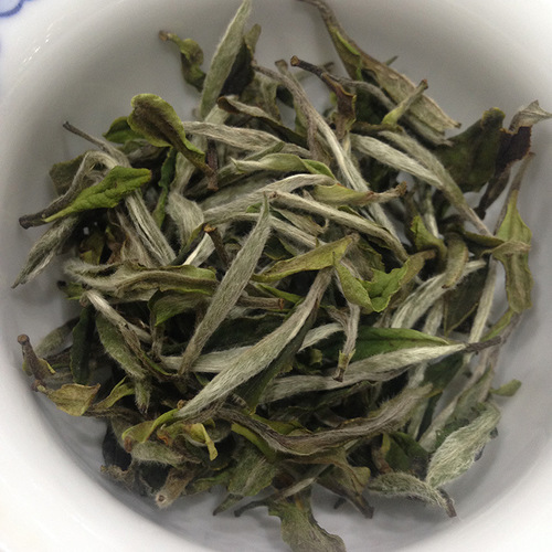 福建的白牡丹茶正常价格是多少钱一斤