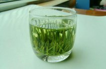  峨眉竹叶青一斤茶叶多少钱竹叶青茶的保存方法