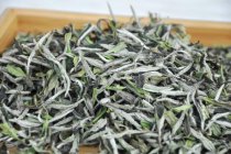 白毫银针茶多少钱一斤是正确的 白毫银针的营养价值