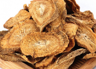 牛蒡根多少钱一斤 2020牛蒡根每斤价格最新市场详情