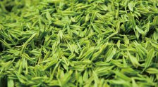  资溪白茶的价格是多少一斤 资溪白茶产品的特点