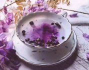  黑枸杞多少一斤 野生黑枸杞价格是多少 2020最新价格详情