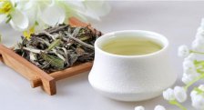 白茶是绿茶吗 白茶和绿茶有什么区别