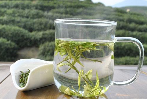  白茶的保存技巧 白茶需要密封保存吗 白茶储存环境有什么要求