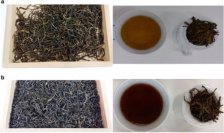 砖茶是红茶还是绿茶 青砖茶并不属于红茶或绿茶