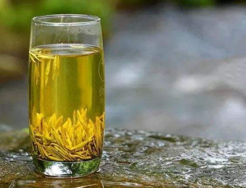  日照绿茶的功效和作用 能生津止渴和保护眼睛 日照绿茶的饮用禁忌
