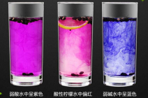 <b> 黑枸杞多少钱一斤 黑枸杞的价格贵吗</b>