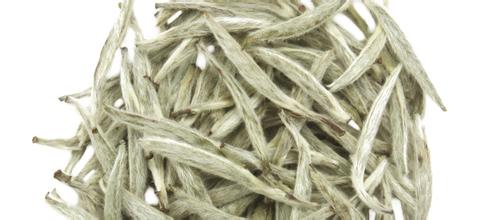  为什么老白茶的价格这么贵 老白茶一斤多少钱