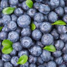  什么时候吃蓝莓干更好 吃蓝莓干要分季节吗